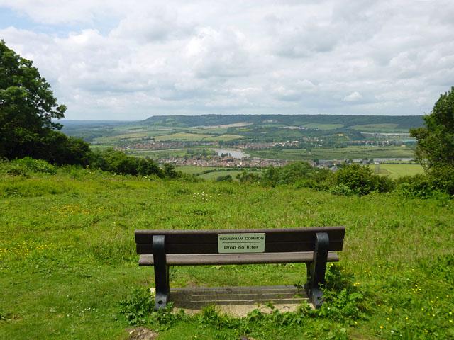 wouldham common2